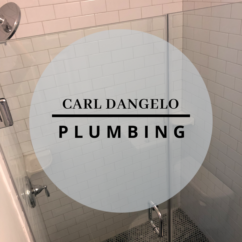 Avatar for Carl D'Angelo Plumbing